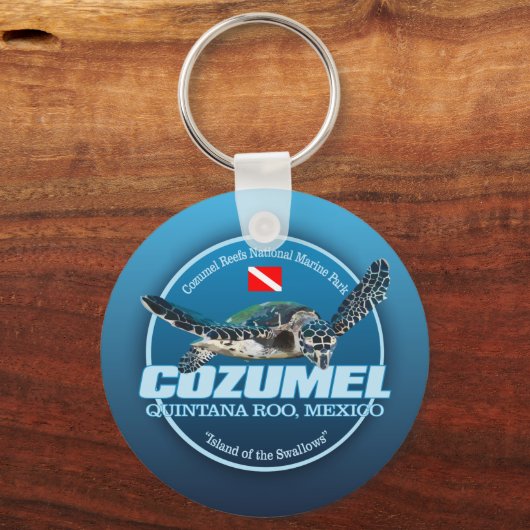 Cozumel (DD2) キーホルダー (正面)