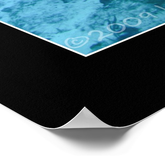 Cozumel - GrouperとDave ポスター (角)