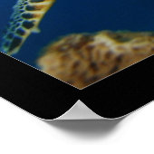 Cozumel - Hawksbill #005 ポスター (角)