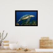 Cozumel - Hawksbill #005 ポスター (キッチン)