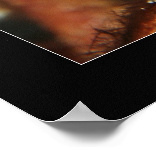 Cozumel - Orange Seahorse#2 ポスター (角)