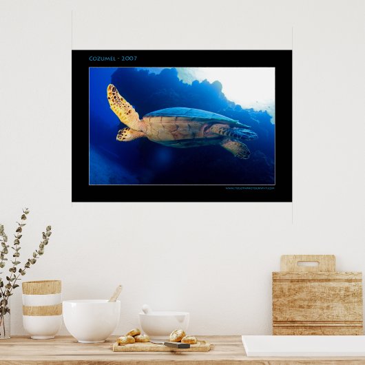 Cozumel - Turtle in the Sun ポスター (キッチン)