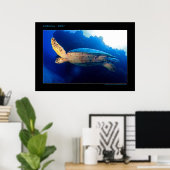 Cozumel - Turtle in the Sun ポスター (ホームオフィス)