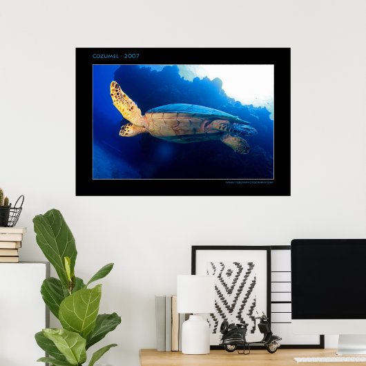 Cozumel - Turtle in the Sun ポスター (ホームオフィス)