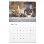 Cozy Cat Photography | かわいい子猫の猫の壁掛け カレンダー (3月 2027)