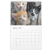 Cozy Cat Photography | かわいい子猫の猫の壁掛け カレンダー (2月 2027)