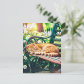 Cozy Cat Sleeping in Garden on Bench ポストカード (スタンド正面)