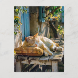 Cozy Cat Sleeping in Garden on Bench ポストカード