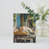 Cozy Cat Sleeping in Garden on Bench ポストカード (スタンド正面)