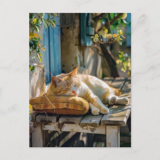 Cozy Cat Sleeping in Garden on Bench ポストカード (正面)