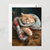 Cozy Cat Sleeping on a wooden box ポストカード (正面/裏面)