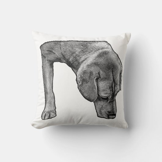 Cozy Chair, Dotty Scout クッション (正面)