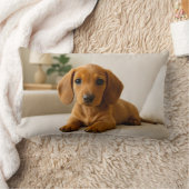 Cozy Dachshund  ランバークッション (ブランケット)