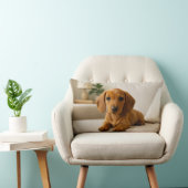 Cozy Dachshund  ランバークッション (椅子)