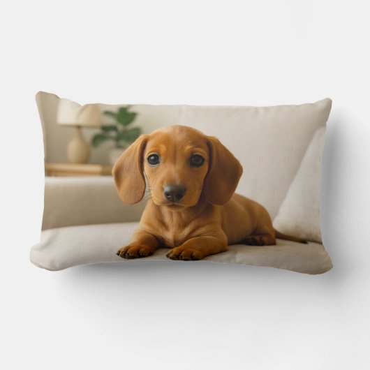 Cozy Dachshund  ランバークッション (正面)