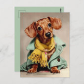 Cozy Dachshund Fashion Portrait ポストカード (正面/裏面)