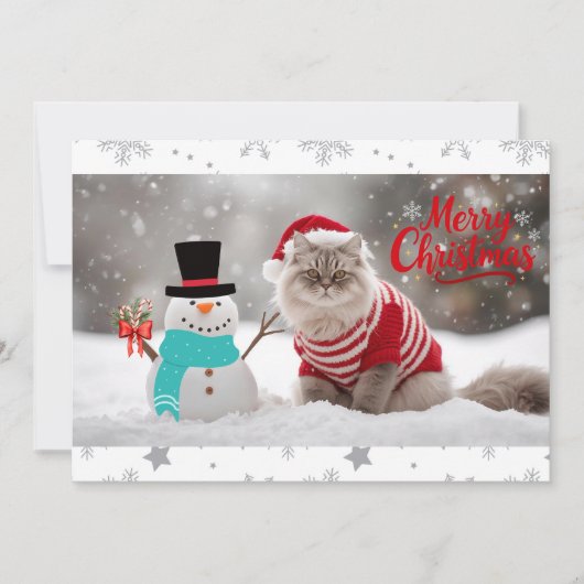 Cozy Exotic Shorthair Cat Christmas Personalized  (正面)