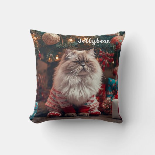 Cozy Exotic Shorthair Cat Christmas Personalized  クッション (正面)