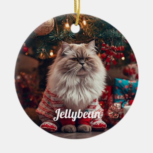 Cozy Exotic Shorthair Cat Christmas Personalized  セラミックオーナメント (正面)