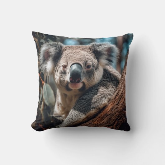 Cozy Koala:オーストラリア野生生物 クッション (正面)