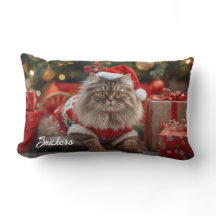 Cozy Maine Coon Cat Christmas Personalized