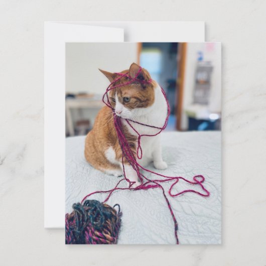 Cozy Orange Tabby Note Cards for Cat Lovers ノートカード (正面)
