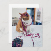 Cozy Orange Tabby Note Cards for Cat Lovers ノートカード (正面/裏面)