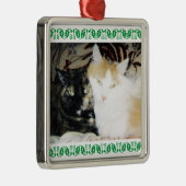 Cozy Photo Two Cats Green Holly 縁ど メタルオーナメント (右)