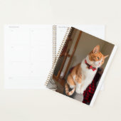 Cozy Planner Small Tabby Cat Planner プランナー手帳 (ディスプレー)