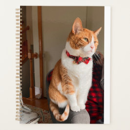 Cozy Planner Small Tabby Cat Planner プランナー手帳