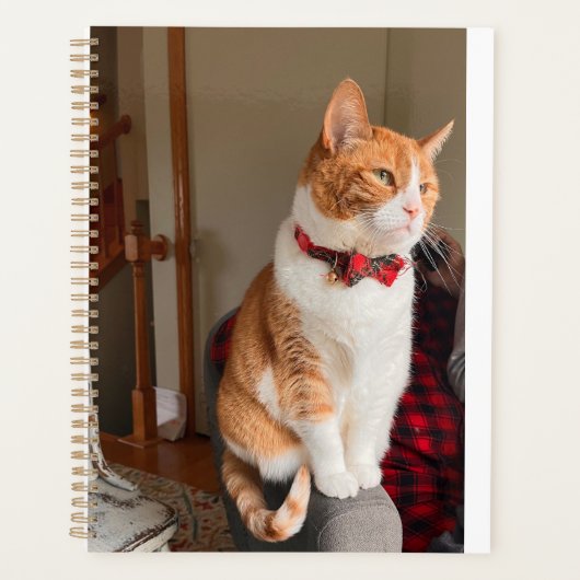 Cozy Planner Small Tabby Cat Planner プランナー手帳 (正面)