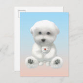 Cozy Plush Moment: Smiling Bichon Hugging Mini Pup 案内ポストカード (正面/裏面)