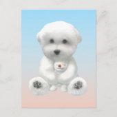 Cozy Plush Moment: Smiling Bichon Hugging Mini Pup 案内ポストカード (正面)