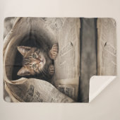 Cozy Soft Sherpa Blanket シェルパブランケット (正面(横))