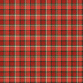 Cozy Tartan Curtain Traditional Holiday Gift Look シャワーカーテン
