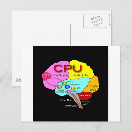 CPU脳 ポストカード (正面/裏面)