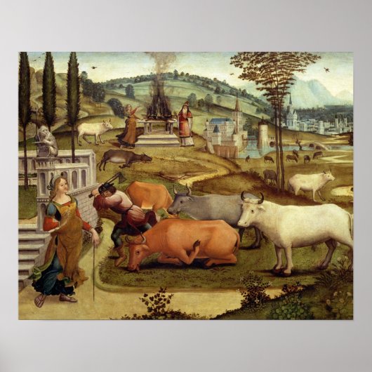 Crのミノス王の妻、パシファエの情念 ポスター (正面)