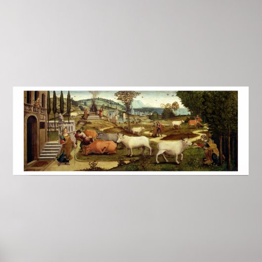 Crのミノス王の妻、パシファエの情念 ポスター (正面)