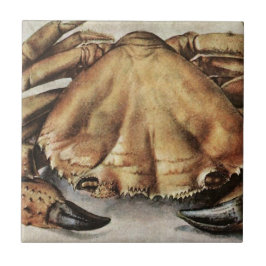 Crab (Creature Under the Sea) (by Albrecht Durer) タイル
