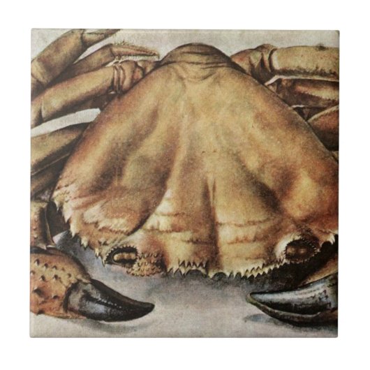 Crab (Creature Under the Sea) (by Albrecht Durer) タイル (正面)