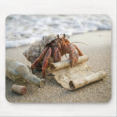 Crab Reading a Letter on a Beach マウスパッド (正面)