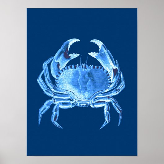 Crab Sea Life Print, Indigo Blue and White Poster ポスター (正面)