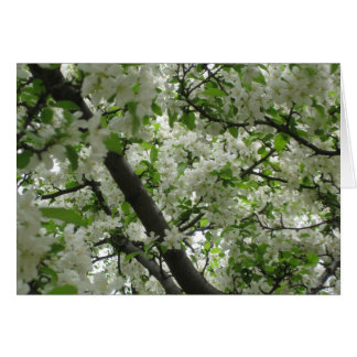 Crabappleの花