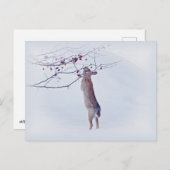 Crabapple Bunny - Rabbit ポストカード (正面/裏面)