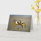 Crabby日 カード (黄色い花)