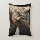 Crabby虎猫猫 アクセントクッション (正面(垂直))