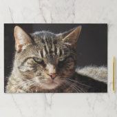 Crabby虎猫猫 ペーパーパッド (インサイチュ)