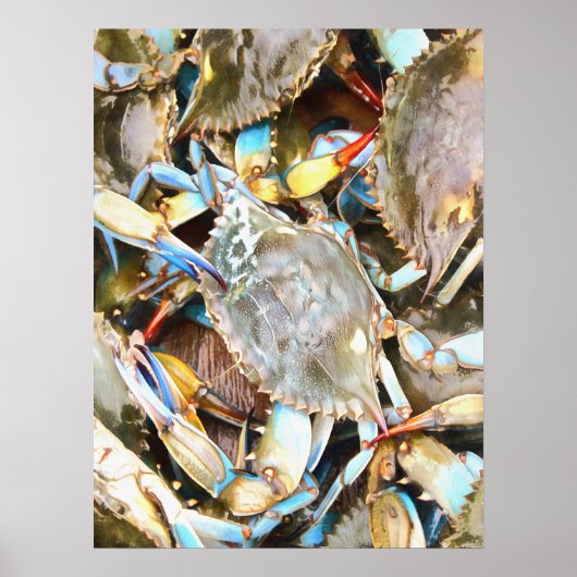 Crabby Blue Crabsポスター ポスター (正面)