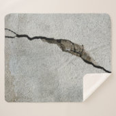 Crack wall concrete texture stone シェルパブランケット (正面(横))
