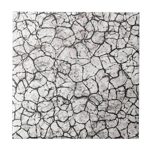 Cracked Marble Digital Pattern タイル (正面)